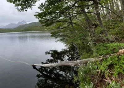 Torres del paine Laguna Nutria (4)